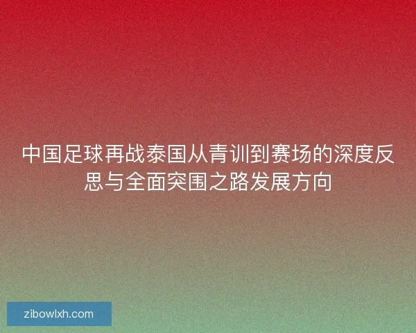 中国足球再战泰国从青训到赛场的深度反思与全面突围之路发展方向
