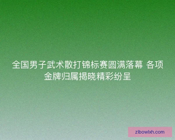 全国男子武术散打锦标赛圆满落幕 各项金牌归属揭晓精彩纷呈