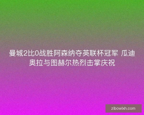 曼城2比0战胜阿森纳夺英联杯冠军 瓜迪奥拉与图赫尔热烈击掌庆祝