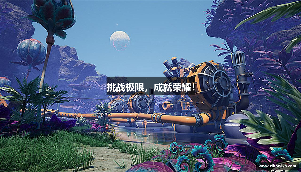 挑战极限，成就荣耀！